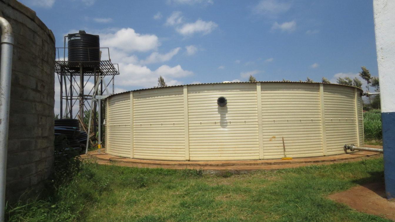 cesp africa