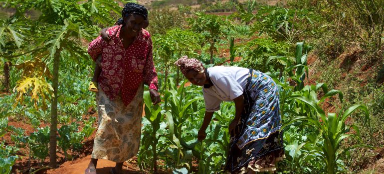 Two female farmers on the farm
